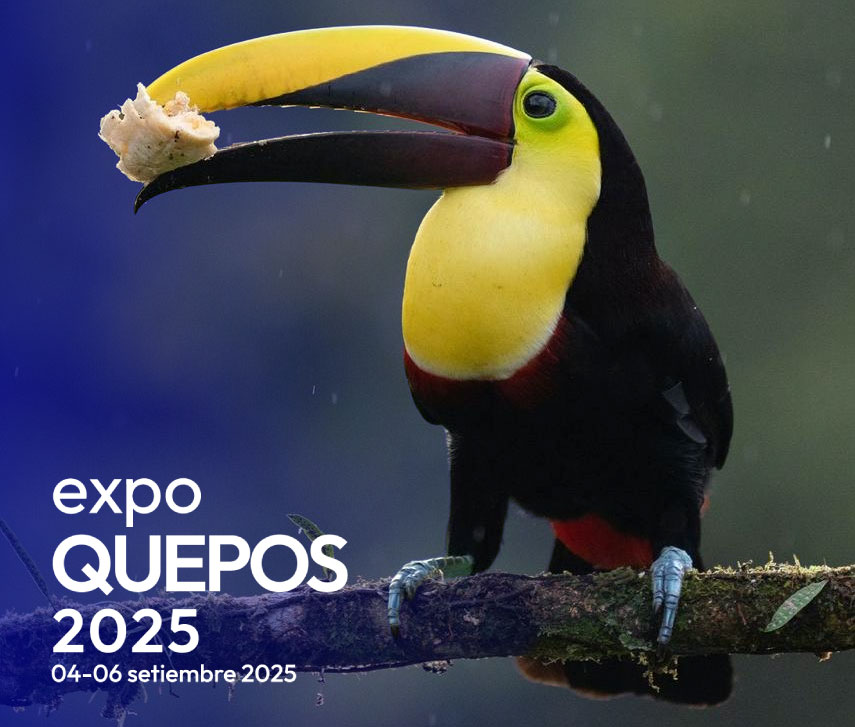 FreeBootstrap.net image placeholder